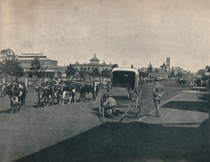 Pietermaritzburg, 1900. od Unbekannt