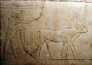 Orba z egyptské stély, 18. dynastie, 1332 př. n. l. – 1323 př. n. l. od Unbekannt