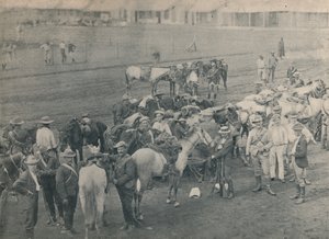 Instalatérský kůň, c1900. od Unbekannt