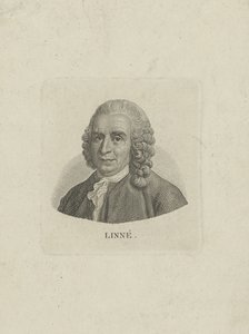 Portrét Carla Linného 1707-1778, c. 1780. od Unbekannt