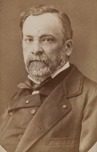 Portrét Louise Pasteura 1822-1895, c. 1870. od Unbekannt