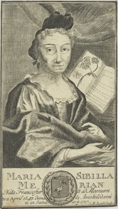 Portrét Marie Sibylly Merian 1647-1717, 1755. od Unbekannt