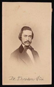 Portrét Theodora Nicholase Gilla 1837-1914, cca 1860. od Unbekannt