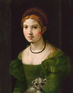 Portrét mladé ženy, 15301540. od Unbekannt