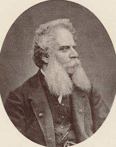 Portrét skladatele Federica Ricciho 1809-1877, c. 1870. od Unbekannt