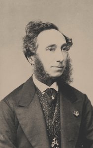 Portrét houslisty a skladatele Camilla Sivoriho 1815-1894, cca 1865. od Unbekannt