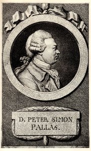 Portrét zoologa a botanika Petera Simona Pallase 1741-1811, počátek 19. stol. od Unbekannt