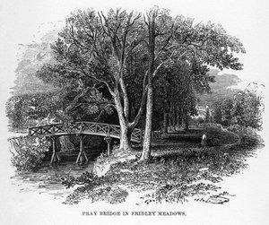 Pray Bridge ve Fridley Meadows, Surrey, 19. století od Unbekannt