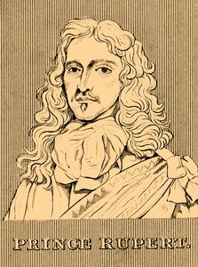 Princ Rupert, 1619-1682, 1830. od Unbekannt