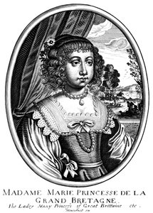 Princezna Marie 1631-1660 od Unbekannt