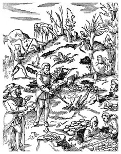 Hledání kovů, 1556 1956 od Unbekannt
