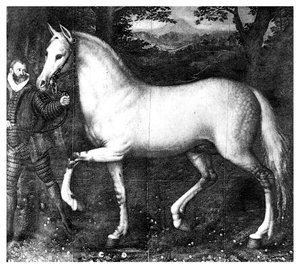 Královna Alžběta je kůň, 1896 od Unbekannt