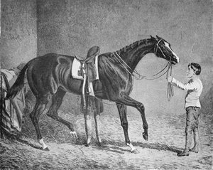Queen of Trumps, 1832-1843, 1911 od Unbekannt