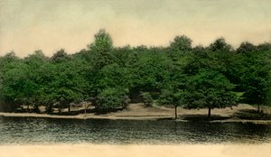 Queensmere, Wimbledon Common, Londýn, 1903. od Unbekannt