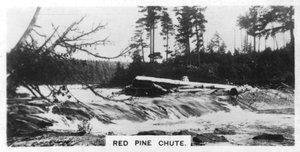 Red Pine Chute, Kanada, c1920 od Unbekannt