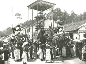 Náboženský průvod, Colombo, Cejlon, 1895. od Unbekannt