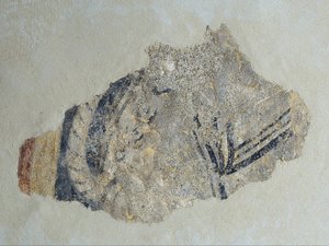 Pozůstatky čtyřnožce ze Sant Joan de Boí od Unbekannt