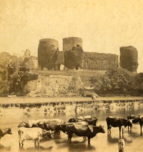 Rhuddlan - Hrad od řeky, c1900. od Unbekannt