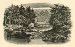 River Scene, Langdale, c1890. od Unbekannt