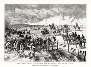 Rodeo, Jižní Amerika, 1877 od Unbekannt