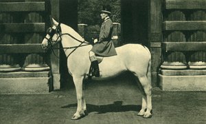 Royal Outrider ve Scarlet Livery, 50. léta 20. století. od Unbekannt