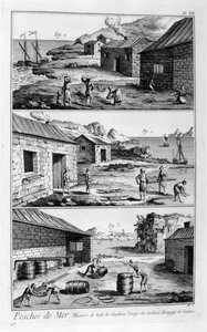 Solení, mytí, balení sardinek, 1751-1777 od Unbekannt