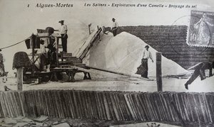 Saltworks, Camargue, Aigues-Mortes, Provenece, Francie (č/b foto) od Unbekannt