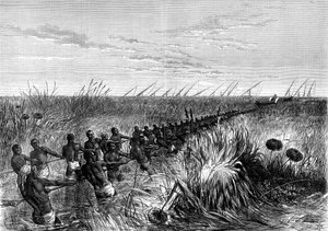 Loď Samuel Bakers tažená říční trávou, 1864 1874 od Unbekannt