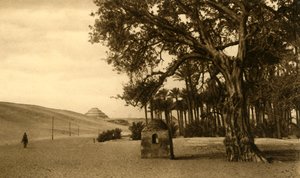 Sakkára – stupňovitá pyramida při pohledu z Sycomoru, c1918-c1939. od Unbekannt