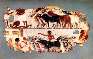 „Scéna představující zahánění velkého stáda dobytka na egyptské farmě“, c1350 př.nl, 1915. od Unbekannt