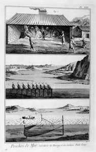 Mořský rybolov, sledě a sardinky, 1751-1777 od Unbekannt