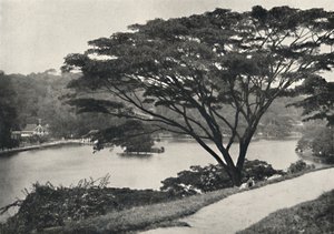 Lake, Temple of the Sacred Tooth Reed and Library v Kandy, při pohledu na východ od Victoria Drive, 192 od Unbekannt