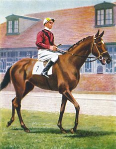 Senor, žokej: J. Crouch, 1939 od Unbekannt