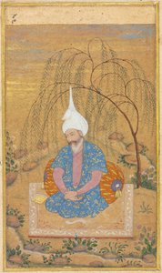 Shah Tahmasp I 1514-1576 Sedící v krajině, c. 1575. od Unbekannt
