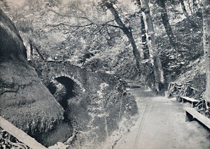 Shanklin - The Chine, 1895 od Unbekannt
