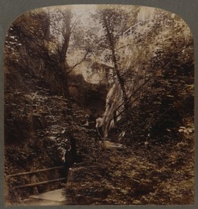 Shanklin Chine světové slávy, Isle of Wight, Anglie, c1910. od Unbekannt