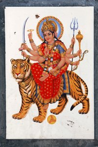 Sherawali a Jagdamba. Fox v severní Indii zpívá v ceně své Jai Mata Di, je to stejná Durga nebo Shakti. od Unbekannt