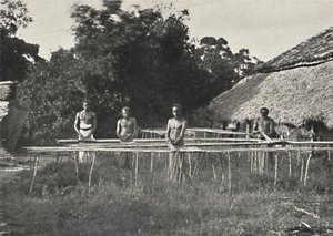 Singhalesische Zimmtarbeiter bei der Arbeit, 1926 od Unbekannt