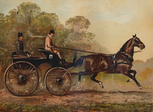 Single Harness Phaeton Horse Columbine. Majetek Charles Baynes Esq., 1872, c1879 od Unbekannt