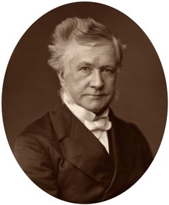 Sir Robert Lush, soudce Nejvyššího soudního dvora, 1881 od Unbekannt