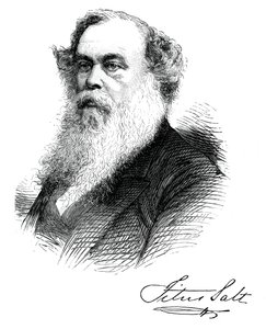 Sir Titus Salt, britský výrobce a mecenáš, c1880 od Unbekannt