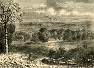 Místo Crystal Palace v roce 1852, c1878. od Unbekannt