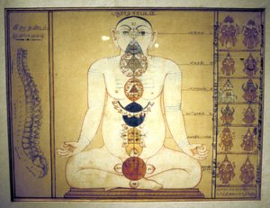 Šest čaker představujících plexusy lidského těla, Tanjore, Tamil Nadu, c1850 od Unbekannt