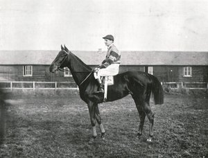 Mrakodrap, 1911. od Unbekannt