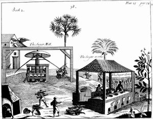 Otrocká práce na cukrové plantáži v Západní Indii, 1725 od Unbekannt