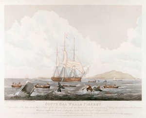 Rybolov velryb jižních, 1825 od Unbekannt