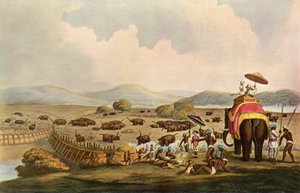 Sport v Indii – Hnací slony do Keddy, c1808, 1901. od Unbekannt