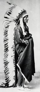 Stojící medvěd, náčelník Dakota Sioux, Indiáni Severní Ameriky, c1885-c1890 od Unbekannt