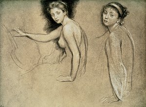 Studie, 1895 od Unbekannt