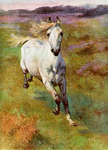 Studie z Life for Colt Hunting v New Forest, 1899 od Unbekannt